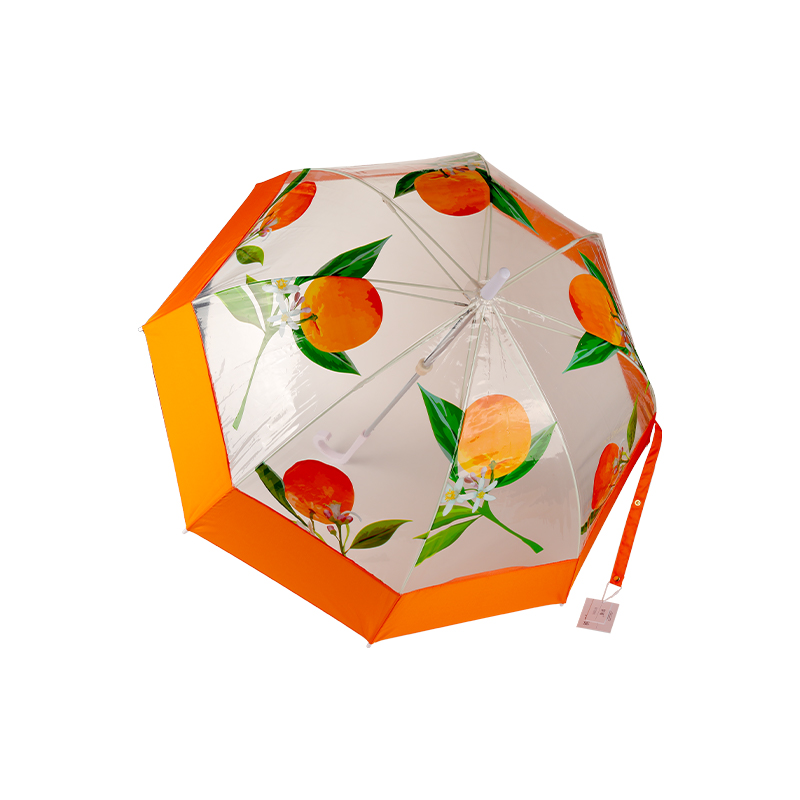 Parapluie transparent modèle Apollo pour femme adulte