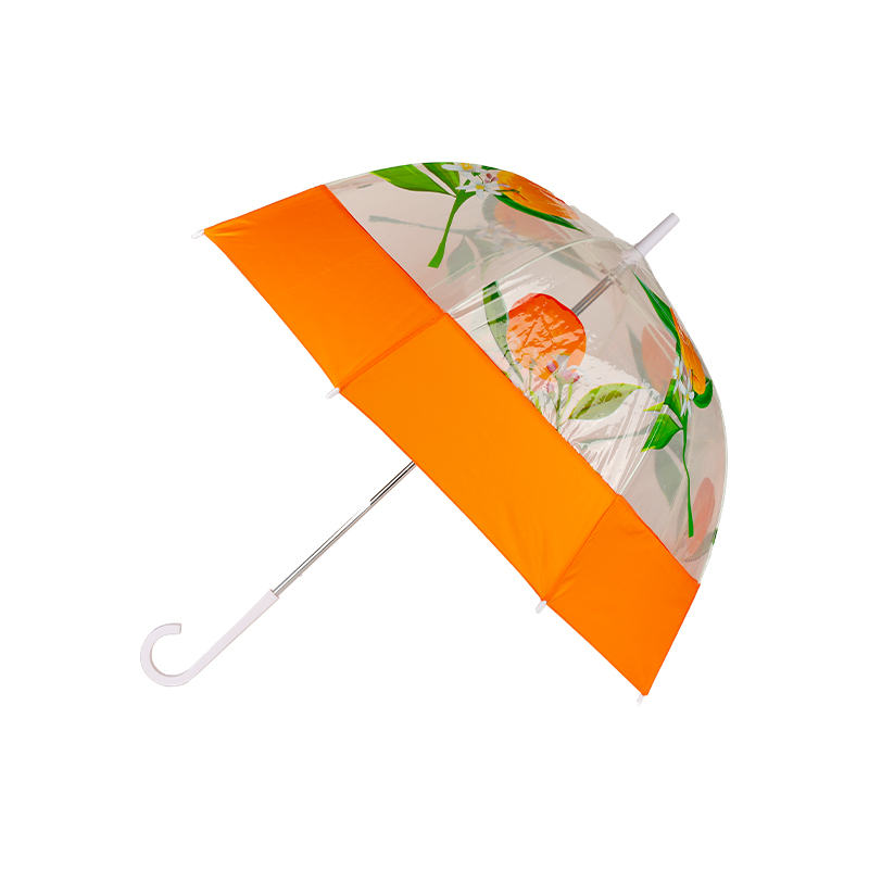 Parapluie transparent modèle Apollo pour femme adulte