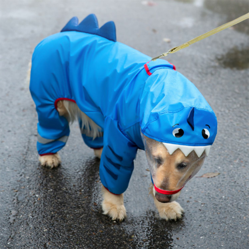 Imperméable pour animaux de compagnie de dessin animé hydrofuge feuille de lotus