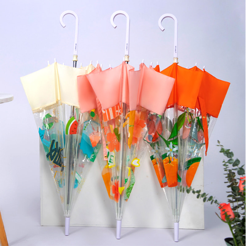 Parapluie transparent modèle Apollo pour femme adulte